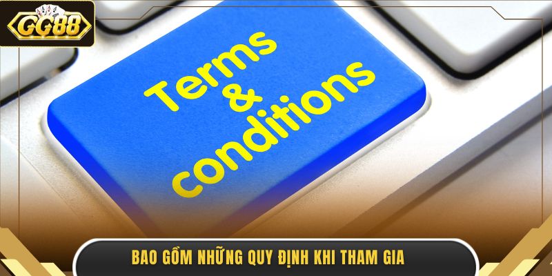 Bao gồm những quy định khi tham gia