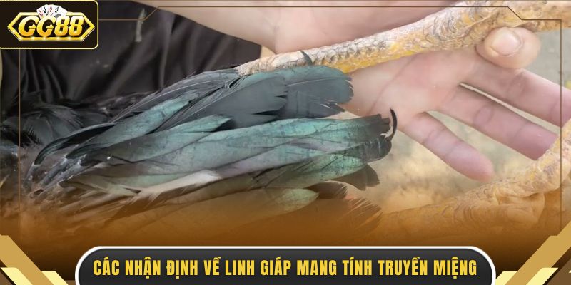 Các nhận định về linh giáp mang tính truyền miệng