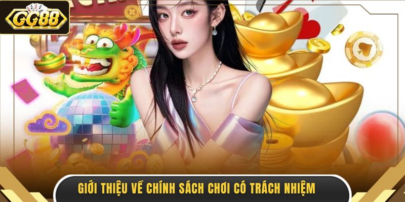 Giới thiệu về chính sách chơi có trách nhiệm