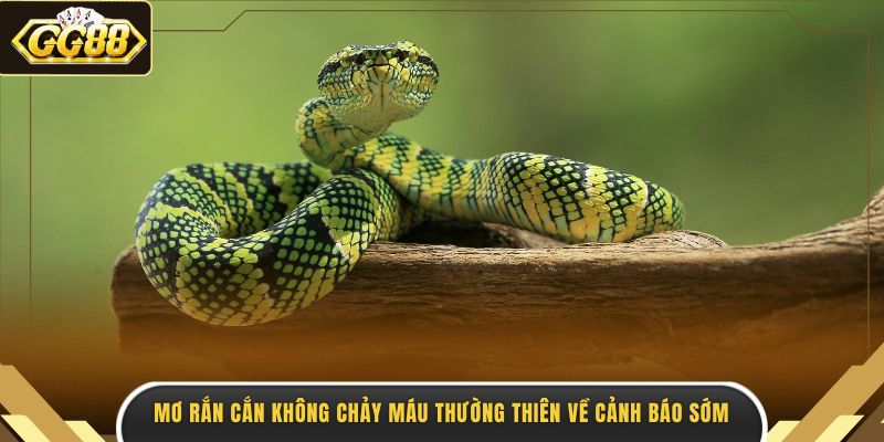 Mơ rắn cắn không chảy máu thường thiên về cảnh báo sớm