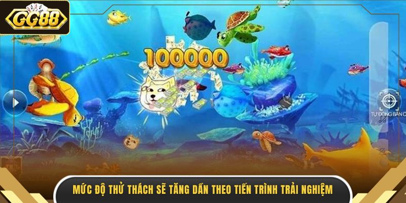 Mức độ thử thách sẽ tăng dần theo tiến trình trải nghiệm