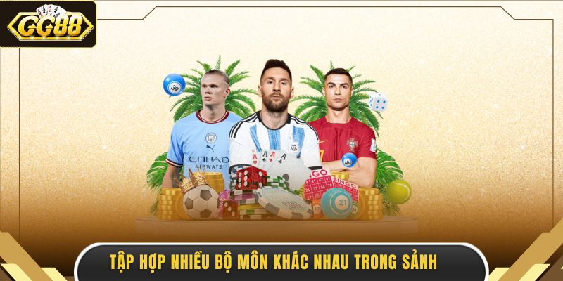 Tập hợp nhiều bộ môn khác nhau trong sảnh